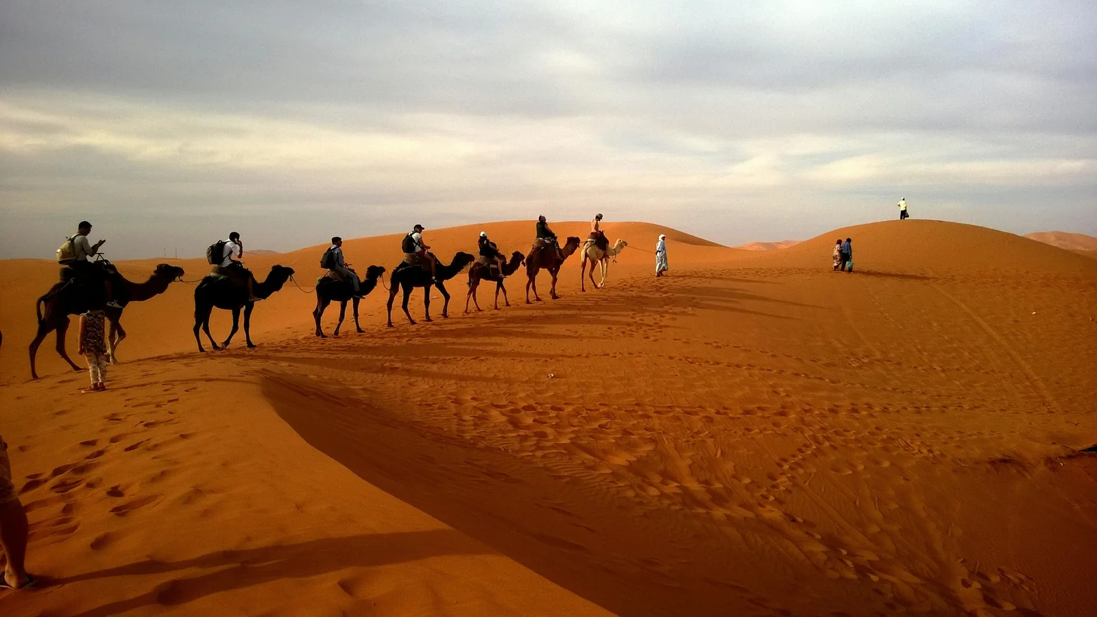 Kamelkarawane auf orangefarbenen Dünen bei Sonnenuntergang in den Emiraten